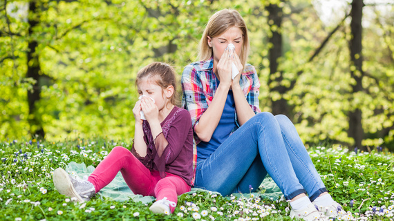 28% скидка на целый комплекс пыльцевых аллергенов
